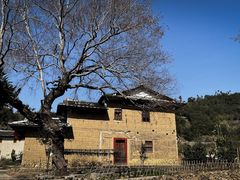 -福建土楼（华安）旅游区•大地土楼群