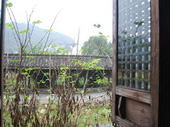 窗外-知鱼轩