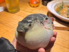 -永安鱼庄·镇江菜(丁卯店)