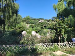 -北京西山国家森林公园