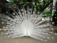 -陕西自然博物馆