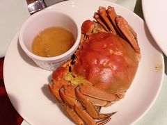 -怡咖啡海鲜自助餐厅(浦东香格里拉店)