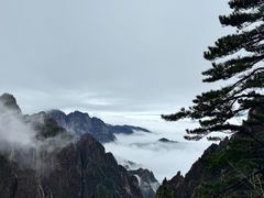 -黄山风景区