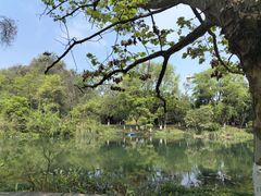 -花溪公园