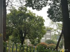 -铁山坪森林公园