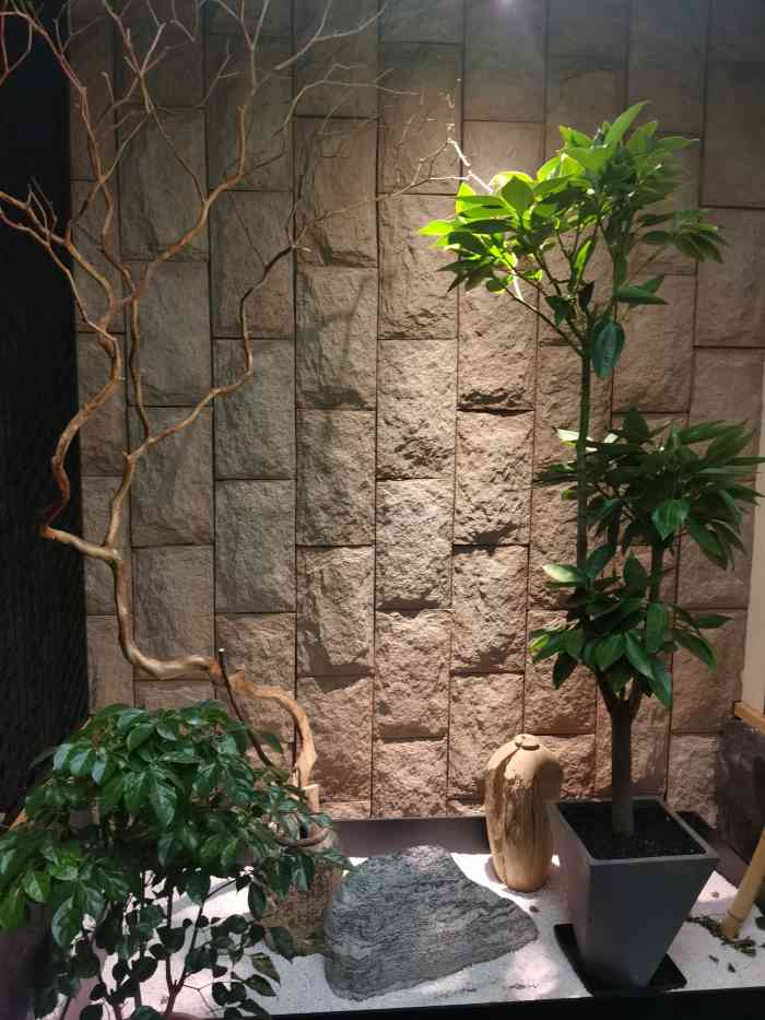 "-大众点评移动版