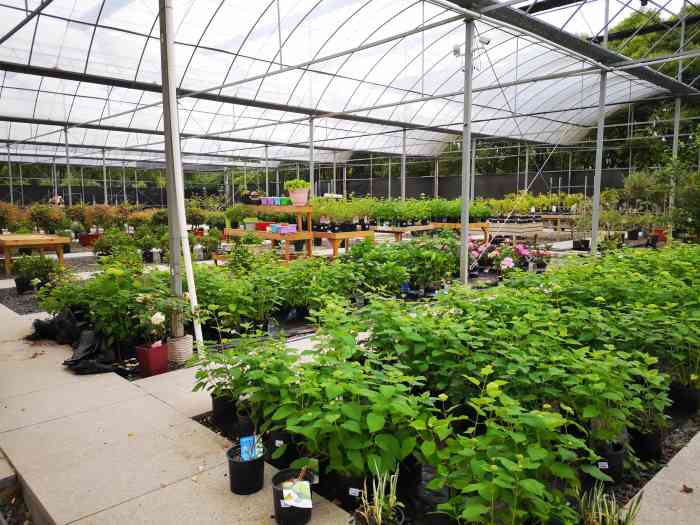 虹越·园艺家(千灯店)-"居住的小区有个园艺群,里面有个虹越的工作.