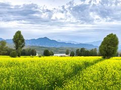 -扁都口生态休闲旅游区