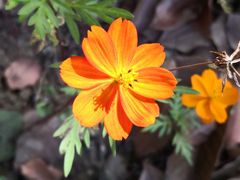 景点-白塘生态植物园