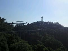 -金鸡山公园