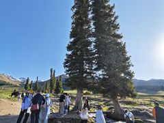 -新疆那拉提国家旅游度假区