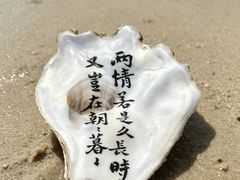 -青岛第一海水浴场