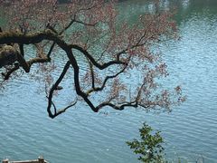 -蒋氏故居