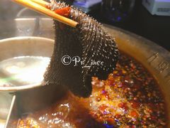 毛肚-九鼎轩脆毛肚火锅(商业街店)
