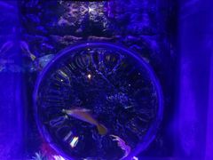 -梦幻海洋王国(吾悦广场张家港店)