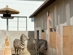 -水上乐园·欢乐世界