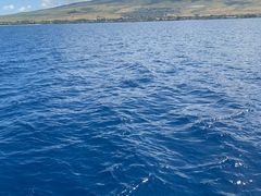 -阿甘虾餐厅(Maui)