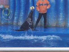 -华夏文旅海洋公园