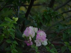 -万达影城(湛江万达广场IMAX店)