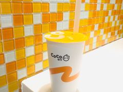 -CoCo都可(芙蓉天虹店)
