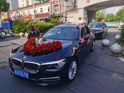 -蚂蚁婚车