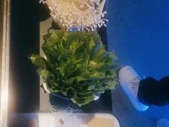 -额尔敦传统涮(公园西路店)