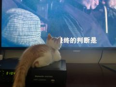 -美联众合爱康动物医院•复杂内科•肿瘤科•牙科•腔镜诊疗中心