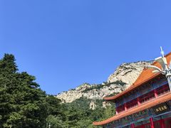 -大芦花风景区