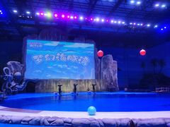 -华夏文旅海洋公园