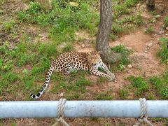 -西霞口神雕山野生动物世界