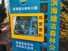 -塘沽森林公园