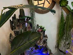 -徽镇小厨·经典徽菜(马连道店)