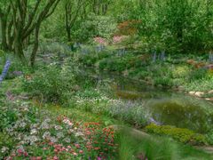 -上海共青森林公园