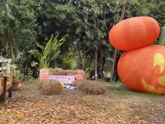 -HERRE·FARM 赫尔露营农场·团建聚会包场