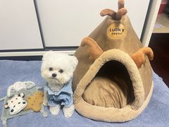 -帕帕拉兹宠物(亚洲旗舰店)