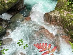 -西岭雪山大飞水景区