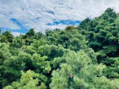 -苍山感通索道
