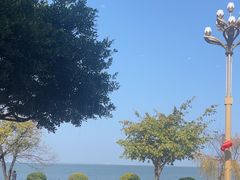 -野菌皇海景野生菌火锅(滨海大道店)