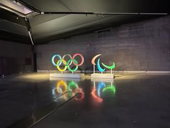 -米兰-马尔彭萨机场