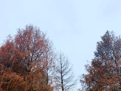 -苏州东太湖生态园