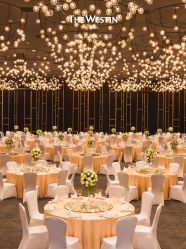 -西安威斯汀大酒店·宴会厅
