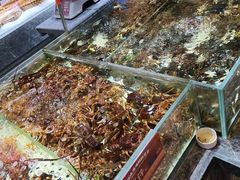 -品味居·首店·大连鲜活海鲜大连菜(东港店)