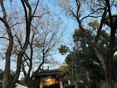 -汇龙潭