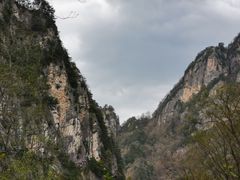 -青峰峡国家森林公园