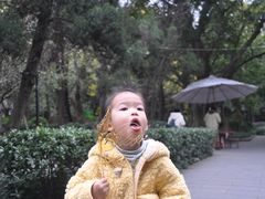 -房湖公园