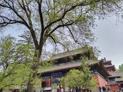 -五台山风景名胜区