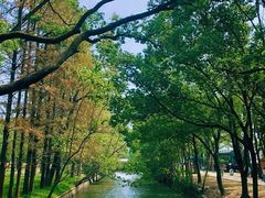 -中央公园(苏州工业园区)