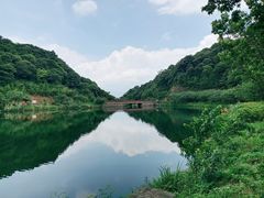 -广州市流溪河国家森林公园