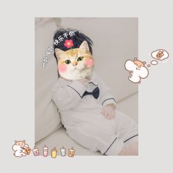 -天天向上儿童摄影(新华创意产业园店)