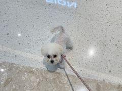 -黑皮酸菜鱼(三山街店)